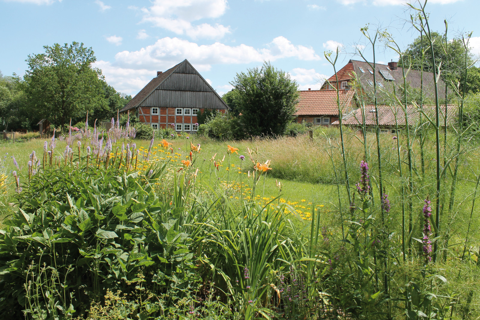 Hof Mützen 7 Ansicht